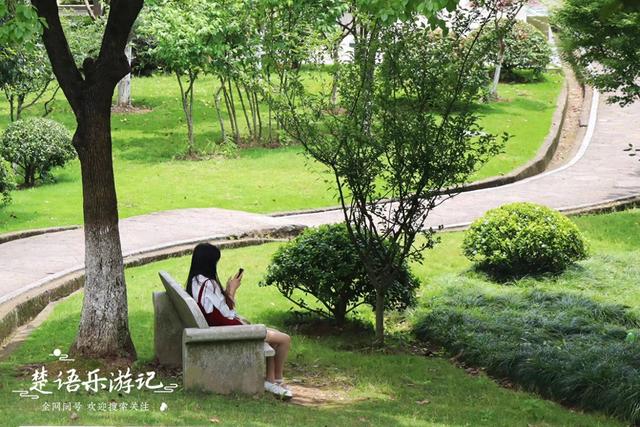 浙江宁波的6大森林型公园、清静凉爽而且景色宜人，皆为休闲胜地