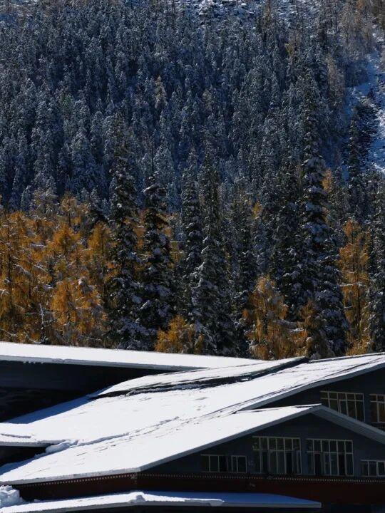 立冬启新章 | 在 4860冰川之巅邂逅冬日限定美好