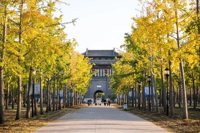 扬州冬始，园林私语