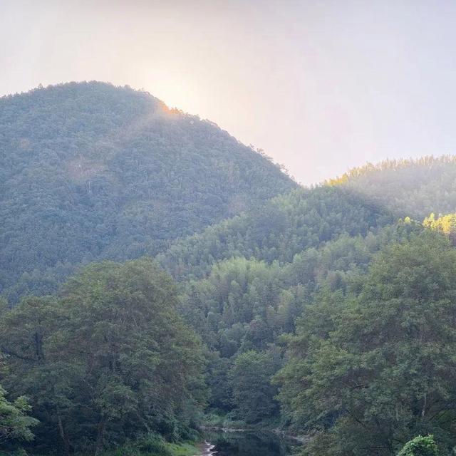 阳际峰溪畔·‘朗坊小院’您的山水避世桃源
