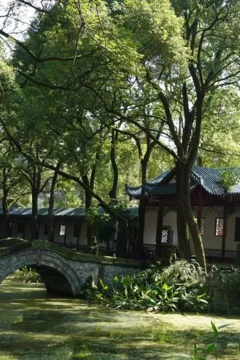 秋假遛娃指南!郫都这些宝藏公园,承包亲子惬意时光