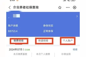养老保险如何查询待遇明细和缴费明细图片