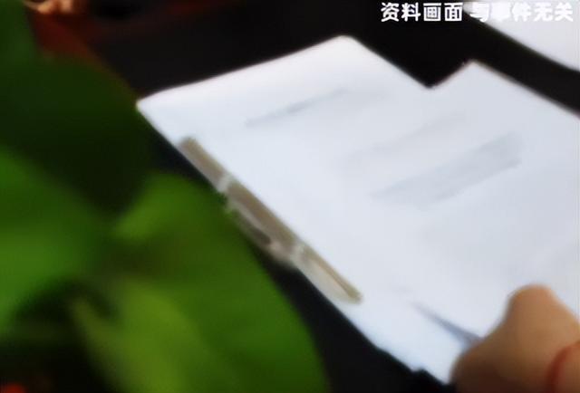 九三阅兵之际，6名间谍落网！带1448份机密出逃，泄露尖端武器