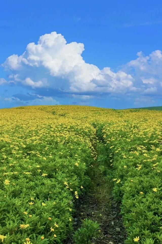 州庆,弥勒六大景区面向全国游客免费!