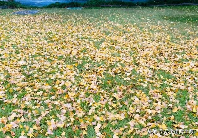 北京下雪后天寒地冻数九寒天大雪小雪冬至又一年注意保暖