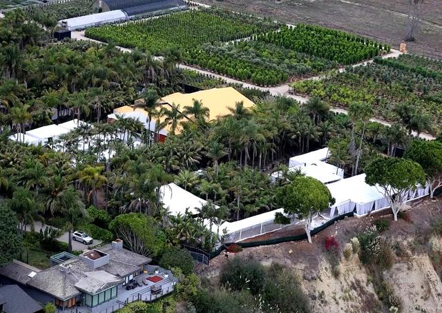 赛琳娜本尼梦幻婚礼，亲情密友成看点，比伯隔空送祝福