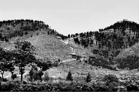 文史钩沉：“老洋人”张庆其人其事图片