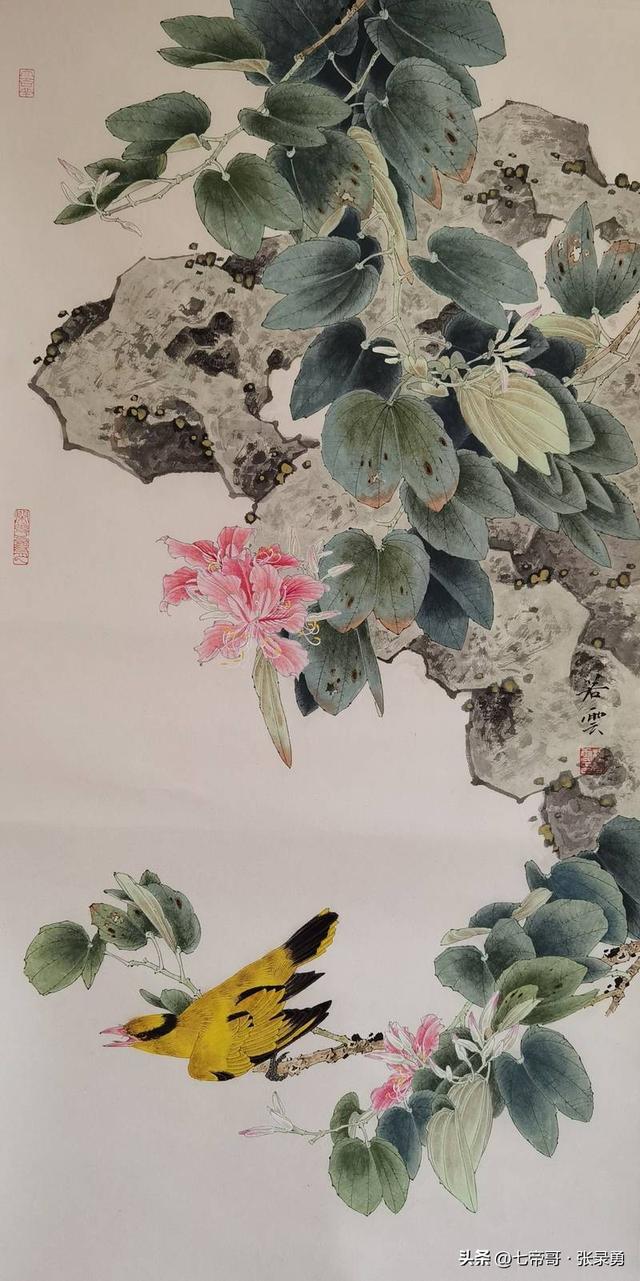 荣宝斋重磅推出杨若云大金袍画册——工笔花鸟藏尽自然灵秀