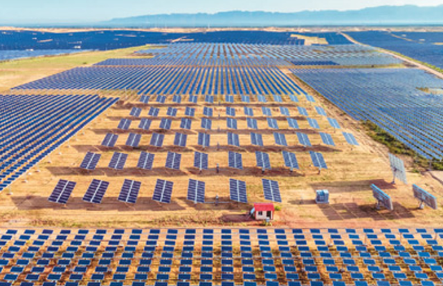 美媒：中国不可怕，可怕的是中国只用10万头猪	，就解决了治沙难题