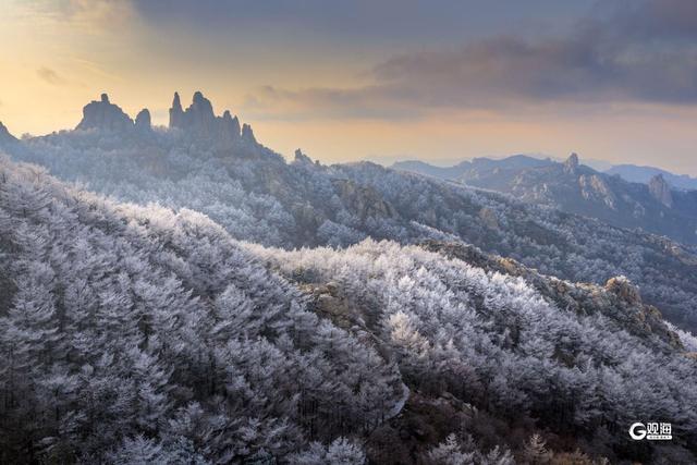 崂山迎来雾凇：石与松的素色禅意