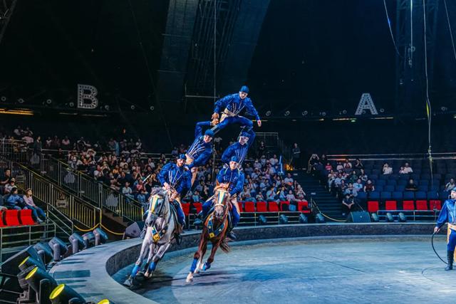 【萌狮叫醒服务】上线!快来给“最萌查房官”取个神仙名字吧!