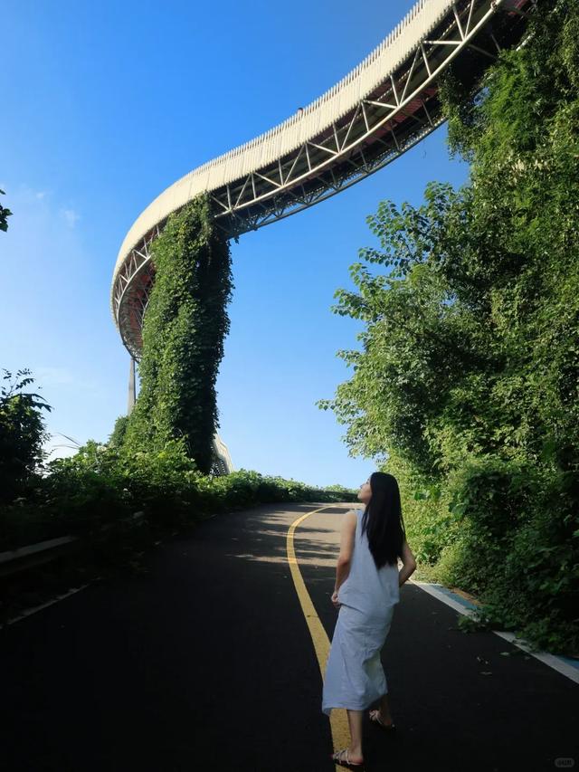 自驾1h直达0门票,我宣布这里是成都市区最美观景步道!