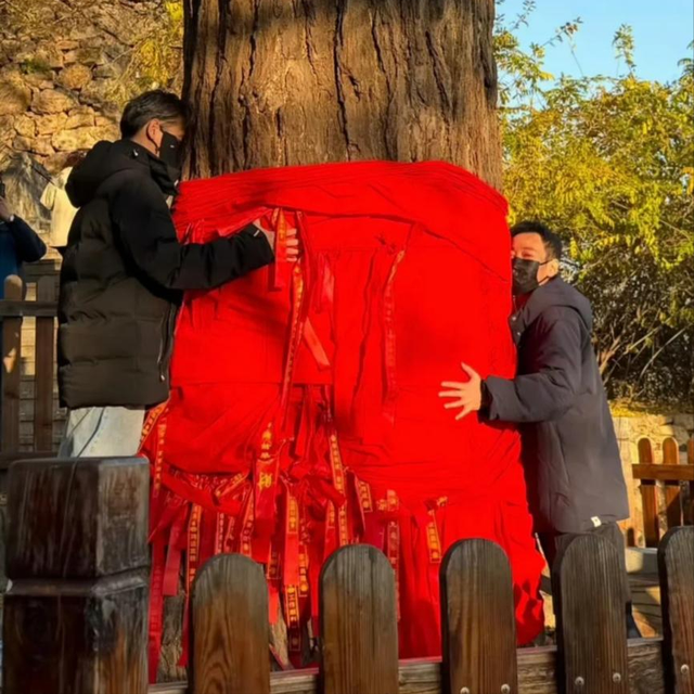 离过年不到2月，52岁辛柏青高调传出喜讯，朱媛媛终于可以放心了