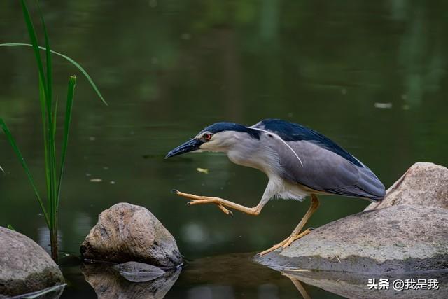 你熬的不是夜，是回不去的青春。