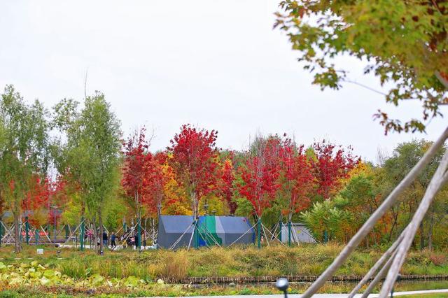 长春北湖公园：湖光秋色两相宜