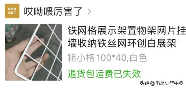 妹子因为猫破坏多肉决定弃养了，网友刚想开骂，看完后笑出了声哈