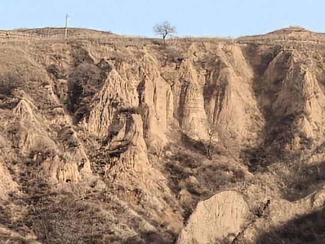 宣化瓦窑头水库芦苇成片，水天一色值得观看