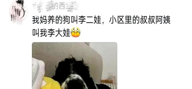 “回村后继承了爷爷的外号？”哈哈哈原来是世袭制！