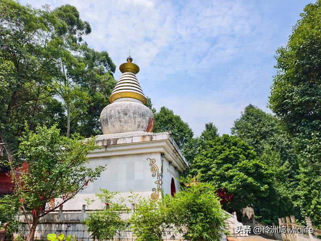成都徒步（68）·彭州篇⑮佛山古寺&镇国寺宝塔