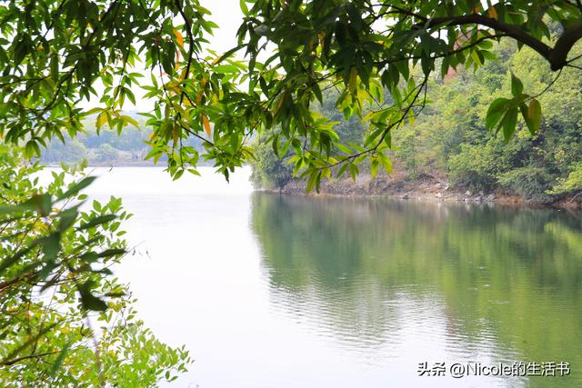 住进广州花都的城市绿洲：商务亲子两相宜