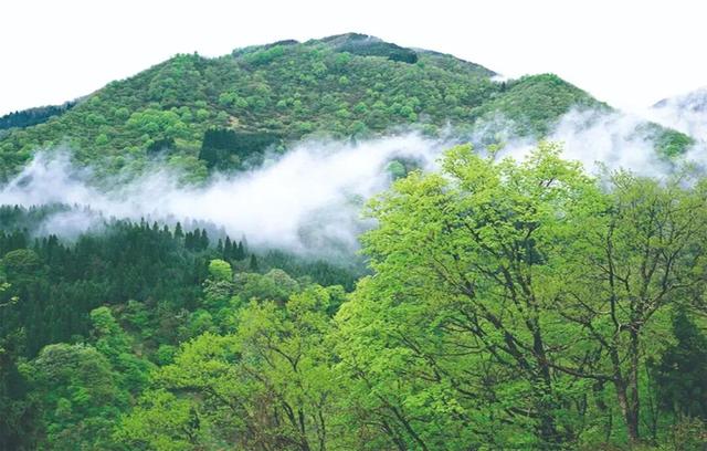 包你好玩！10大场景，8天嗨够！
