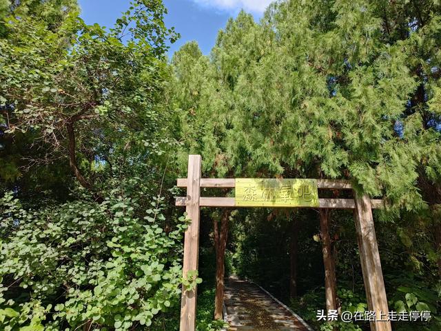 初秋游章丘女郎山葱岭郊野公园