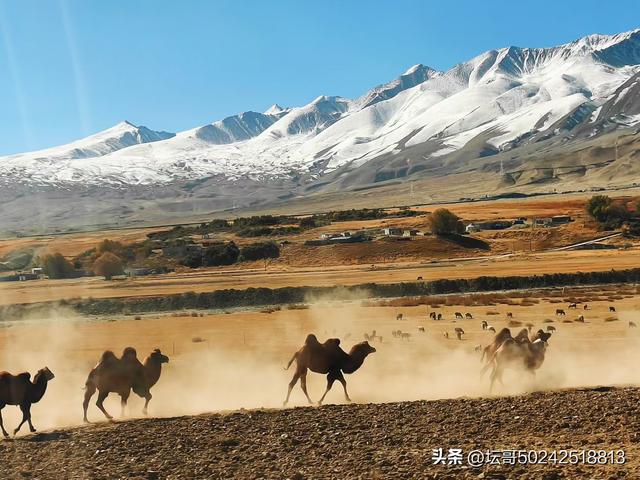 最美的风景在远方，走出去欣赏一下吧兄弟