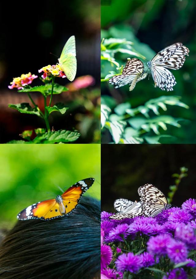 临沂，你真的好风光！！