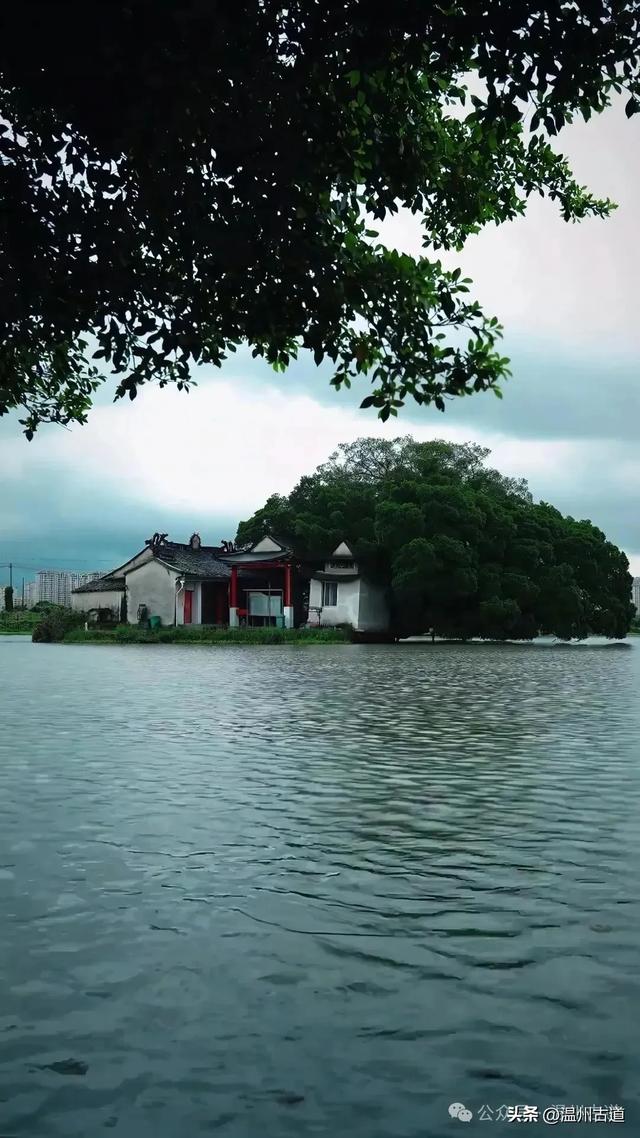 温州居然藏着如此绝妙的水上仙阁,你知道吗?