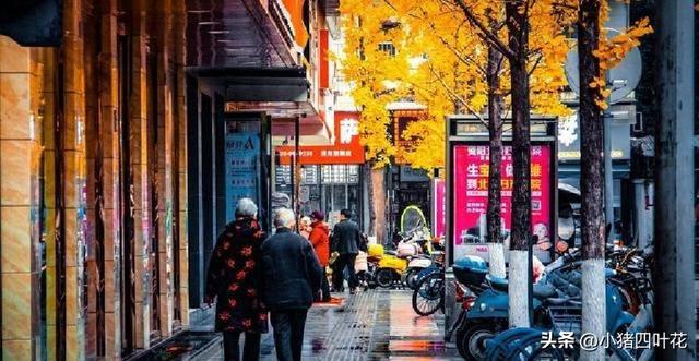 四川“黑马”资阳：成都没料到，内江没料到，今成全国瞩目焦点！