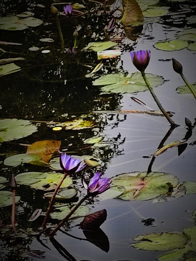 南行漫记：我们就不该来宜宾