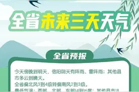 河南正式进入汛期！明后两天多地有雨，局部雷暴大风图片