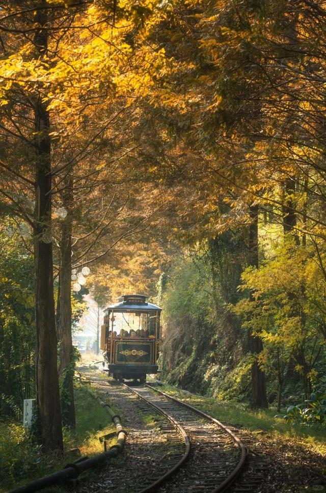 秋天还没过够？那就去乐山留住秋天！
