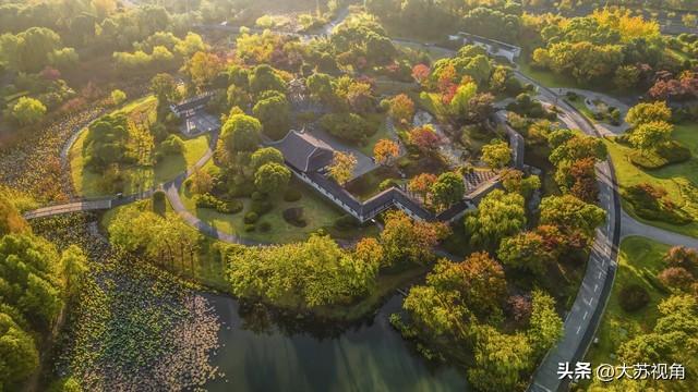 江苏秋日0元赏秋指南！15个反内卷秘境，全域美景不花1分钱