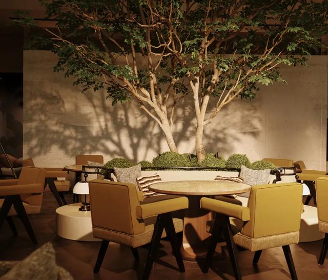 CCD | 雲間憩所，心靈驛站​