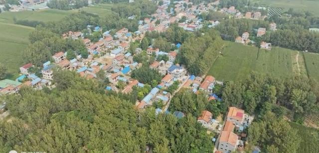 魅力曹县楼庄镇