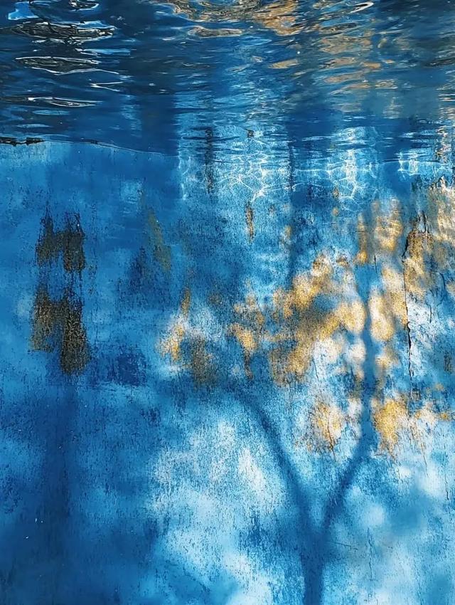 八月蓝海