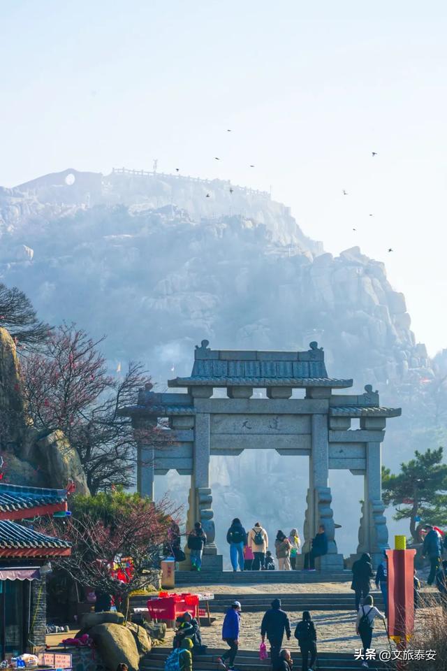 冻到发抖却爽到炸？泰山上的风景，让我懂了什么叫“ 冷并治愈着” ~