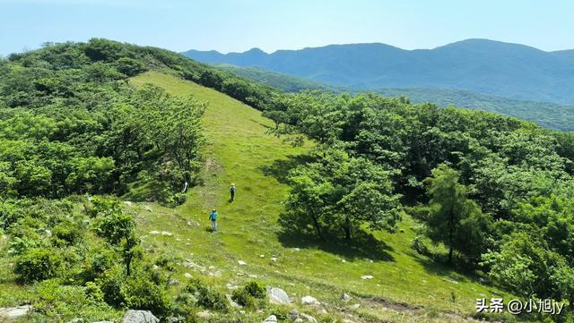 两次本溪南岭徒步记｜高山草甸，湖池松林，我被南岭种草