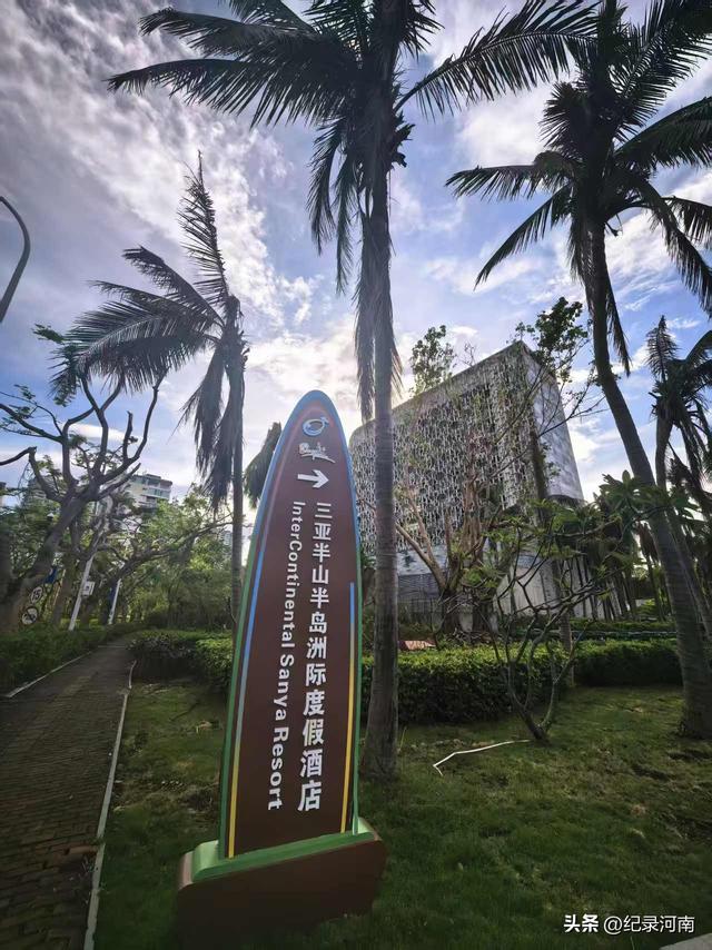 候鸟迁徙新去向：从海南到云南腾冲