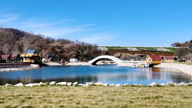 礼县2025文化工作亮点纷呈：文脉永续赋能高质量发展