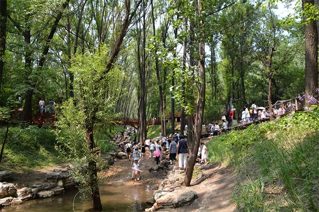 走进蒙山景区，感受夏日清凉...
