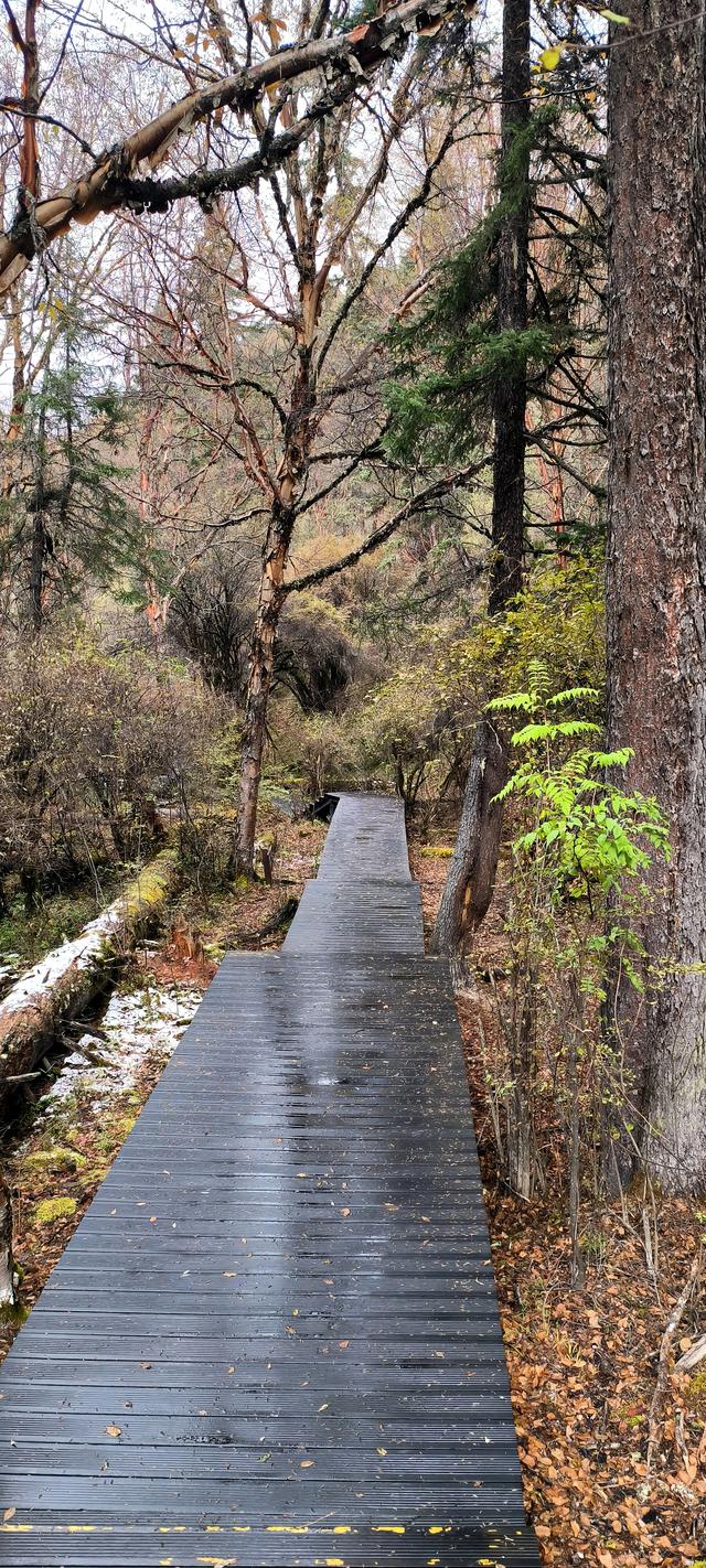 神仙池（一）竖幅