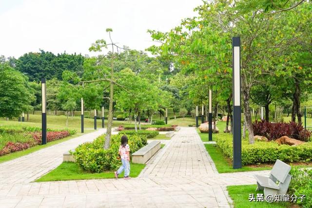 逃离城市热浪！东莞这个秘密花园藏不住了