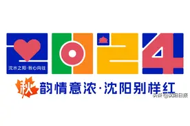 百米“龙鳞装”版《红楼梦》惊艳亮相！沈阳人“复活”失传千年的图书装帧工艺图片