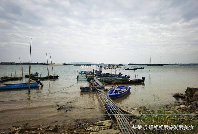 佛山高明小众宝藏渔村！初冬正确打开方式：吹西江风、吃现捞河鲜