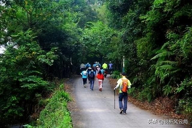 月薪5千也能“充电”：避开人潮的周末，比出国游更值