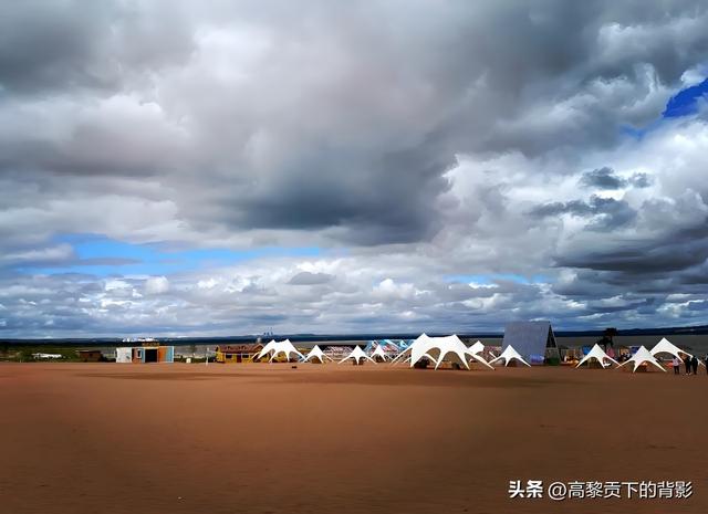 神木之旅：在沙漠中寻找生命的印记