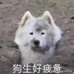 戴眼镜的人速看：这4个方法，真能让你的眼睛变得更有神！