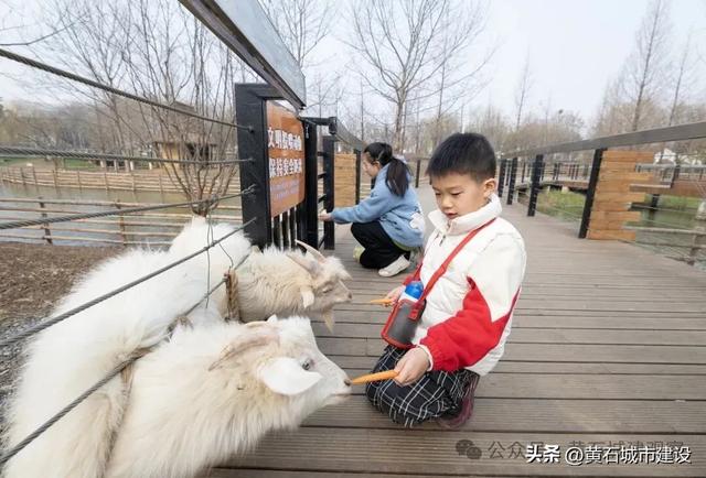 占地10万平方米！黄石新增一东南亚热带雨林主题营地